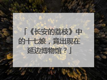 《长安的荔枝》中的十七娘，竟出现在延边博物馆？