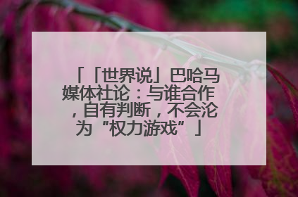 「世界说」巴哈马媒体社论：与谁合作，自有判断，不会沦为“权力游戏”