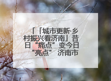 「城市更新·乡村振兴看济南」昔日“痛点”变今日“亮点” 济南市市中区上演城市更新“三部曲”