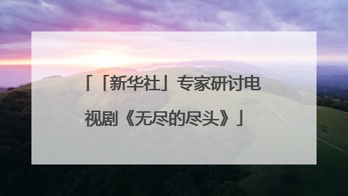 「新华社」专家研讨电视剧《无尽的尽头》