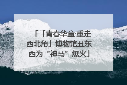 「青春华章·重走西北角」博物馆丑东西为“神马”爆火