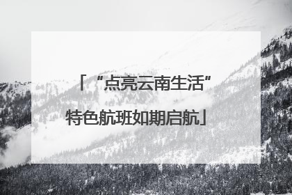 “点亮云南生活”特色航班如期启航