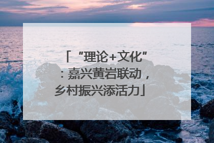 “理论+文化”：嘉兴黄岩联动，乡村振兴添活力