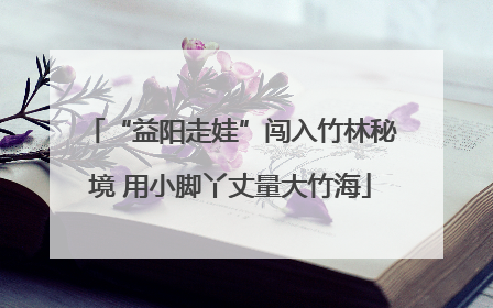 “益阳走娃”闯入竹林秘境 用小脚丫丈量大竹海