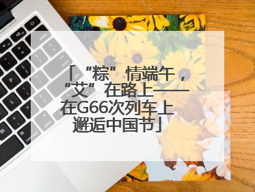 “粽”情端午，“艾”在路上——在G66次列车上邂逅中国节