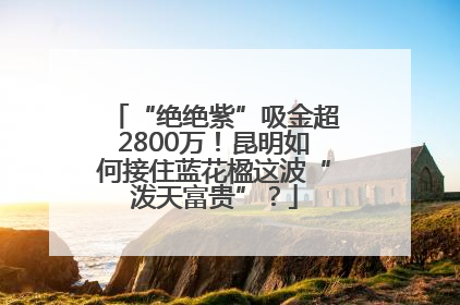 “绝绝紫”吸金超2800万！昆明如何接住蓝花楹这波“泼天富贵”？
