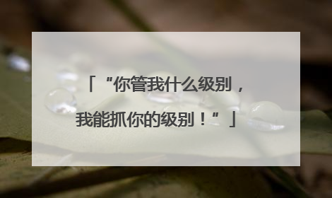 “你管我什么级别，我能抓你的级别！”