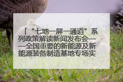 “七地一屏一通道”系列政策解读新闻发布会——全国重要的新能源及新能源装备制造基地专场实录（文+图）