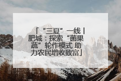 “三夏”一线丨肥城：探索“菌果蔬”轮作模式 助力农民增收致富