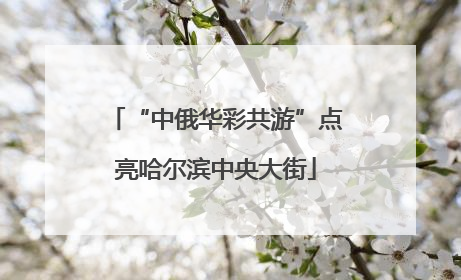 “中俄华彩共游”点亮哈尔滨中央大街