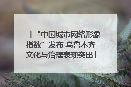 “中国城市网络形象指数”发布 乌鲁木齐文化与治理表现突出