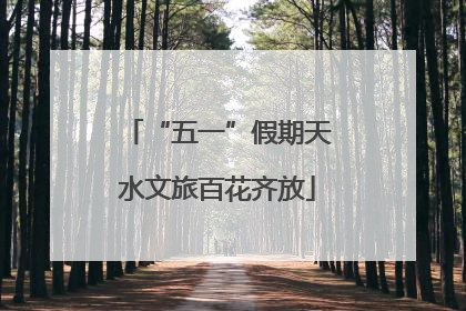 “五一”假期天水文旅百花齐放