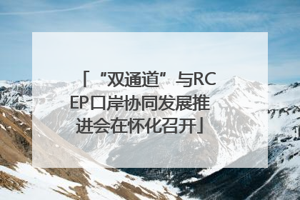 “双通道”与RCEP口岸协同发展推进会在怀化召开