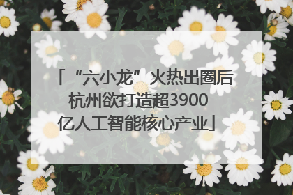 “六小龙”火热出圈后 杭州欲打造超3900亿人工智能核心产业
