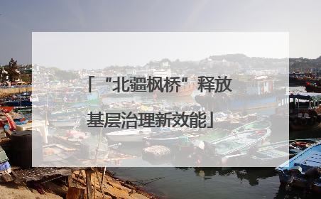 “北疆枫桥”释放基层治理新效能
