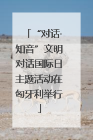 “对话·知音”文明对话国际日主题活动在匈牙利举行