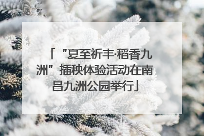 “夏至祈丰·稻香九洲”插秧体验活动在南昌九洲公园举行