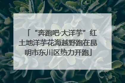 “奔跑吧·大洋芋”红土地洋芋花海越野跑在昆明市东川区热力开跑