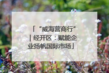 “威海营商行”｜经开区：赋能企业扬帆国际市场
