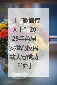 “徽音传天下”2025年首届安徽高校民歌大赛成功举办