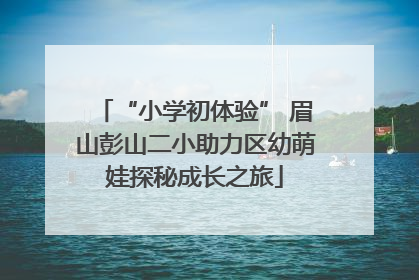 “小学初体验” 眉山彭山二小助力区幼萌娃探秘成长之旅