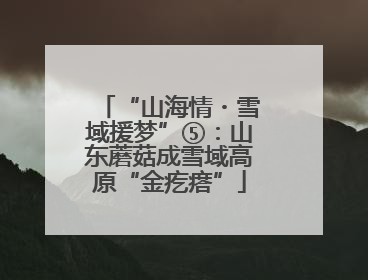 “山海情・雪域援梦”⑤：山东蘑菇成雪域高原“金疙瘩”