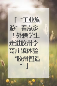 “工业旅游”看点多！外籍学生走进胶州李哥庄镇体验“胶州智造”