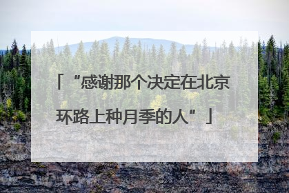“感谢那个决定在北京环路上种月季的人”