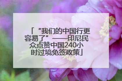 “我们的中国行更容易了”——印尼民众点赞中国240小时过境免签政策