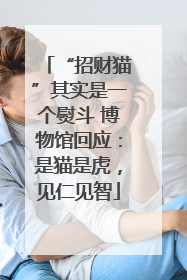“招财猫”其实是一个熨斗 博物馆回应：是猫是虎，见仁见智