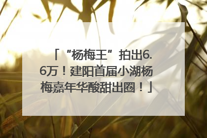 “杨梅王”拍出6.6万！建阳首届小湖杨梅嘉年华酸甜出圈！