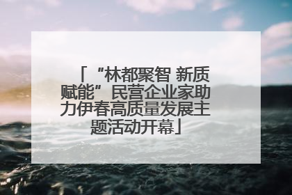 “林都聚智 新质赋能”民营企业家助力伊春高质量发展主题活动开幕
