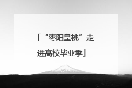 “枣阳皇桃”走进高校毕业季