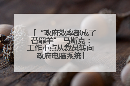 “政府效率部成了替罪羊” 马斯克：工作重点从裁员转向政府电脑系统