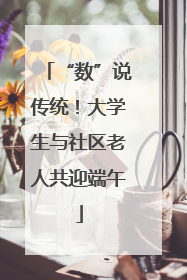“数”说传统！大学生与社区老人共迎端午