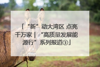 “新”动大湾区 点亮千万家｜“高质量发展能源行”系列报道③