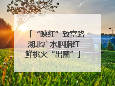 “映红”致富路 湖北广水胭脂红鲜桃火“出圈”