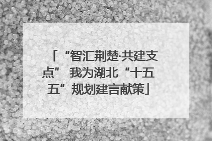 “智汇荆楚·共建支点” 我为湖北“十五五”规划建言献策