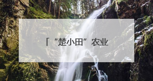 “楚小田”农业生态链品牌发布