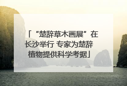 “楚辞草木画展”在长沙举行 专家为楚辞植物提供科学考据