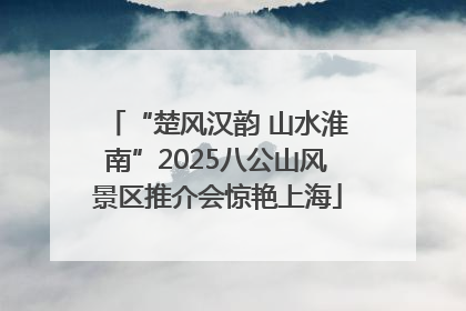 “楚风汉韵 山水淮南”2025八公山风景区推介会惊艳上海