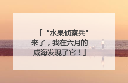 “水果侦察兵”来了，我在六月的威海发现了它！