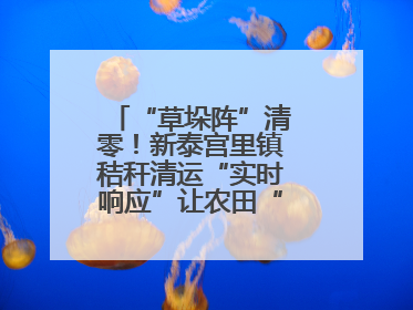 “草垛阵”清零！新泰宫里镇秸秆清运“实时响应”让农田“一键焕新”