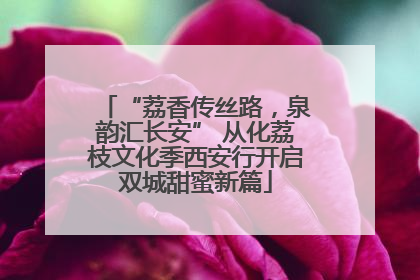 “荔香传丝路，泉韵汇长安” 从化荔枝文化季西安行开启双城甜蜜新篇