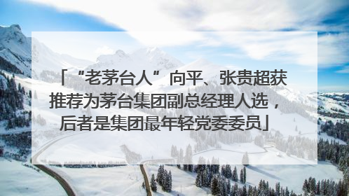 “老茅台人”向平、张贵超获推荐为茅台集团副总经理人选，后者是集团最年轻党委委员