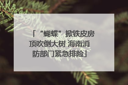 “蝴蝶”掀铁皮房顶吹倒大树 海南消防部门紧急排险