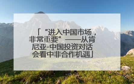 “进入中国市场，非常重要”——从肯尼亚-中国投资对话会看中非合作机遇