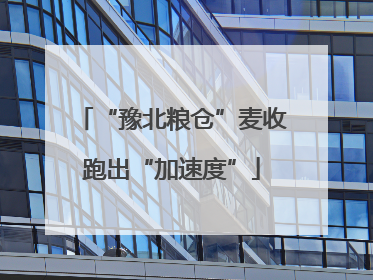 “豫北粮仓”麦收跑出“加速度”