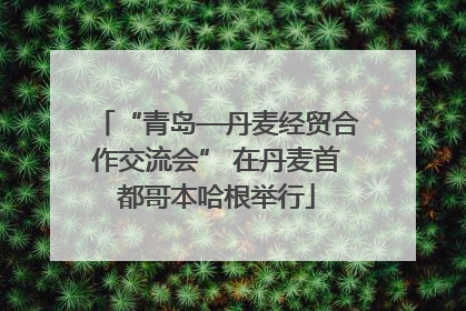 “青岛—丹麦经贸合作交流会” 在丹麦首都哥本哈根举行