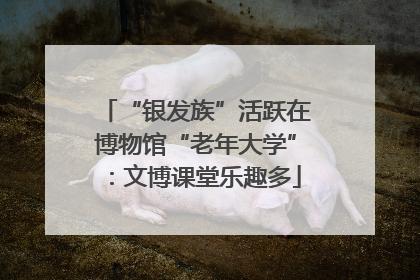 “银发族”活跃在博物馆“老年大学”：文博课堂乐趣多